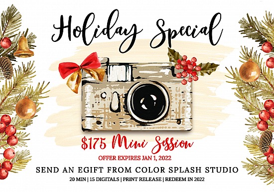Holiday Mini Session Offer
