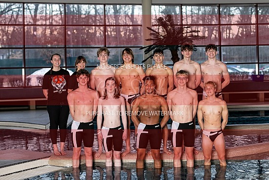AHS Men's Swim